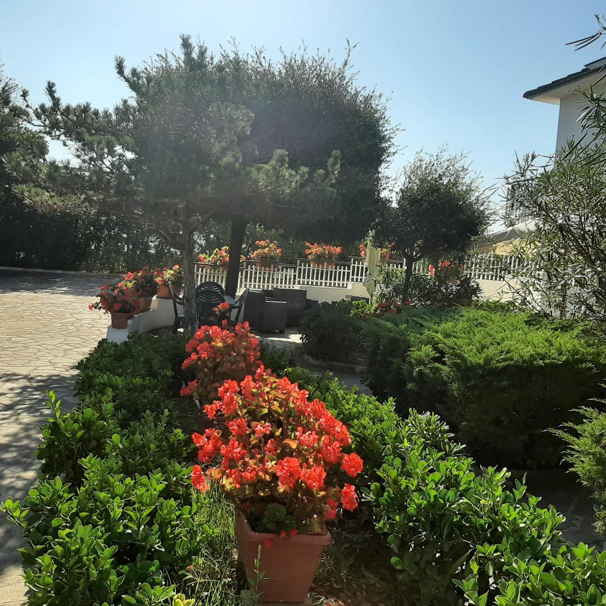 Appartamento In Villa Valentini, Fronte Mare, Giardino E Parcheggio Privato, Wifi, Dotato Di Tutti I Confort, Nel Golfo Di Gaeta Minturno Exterior foto