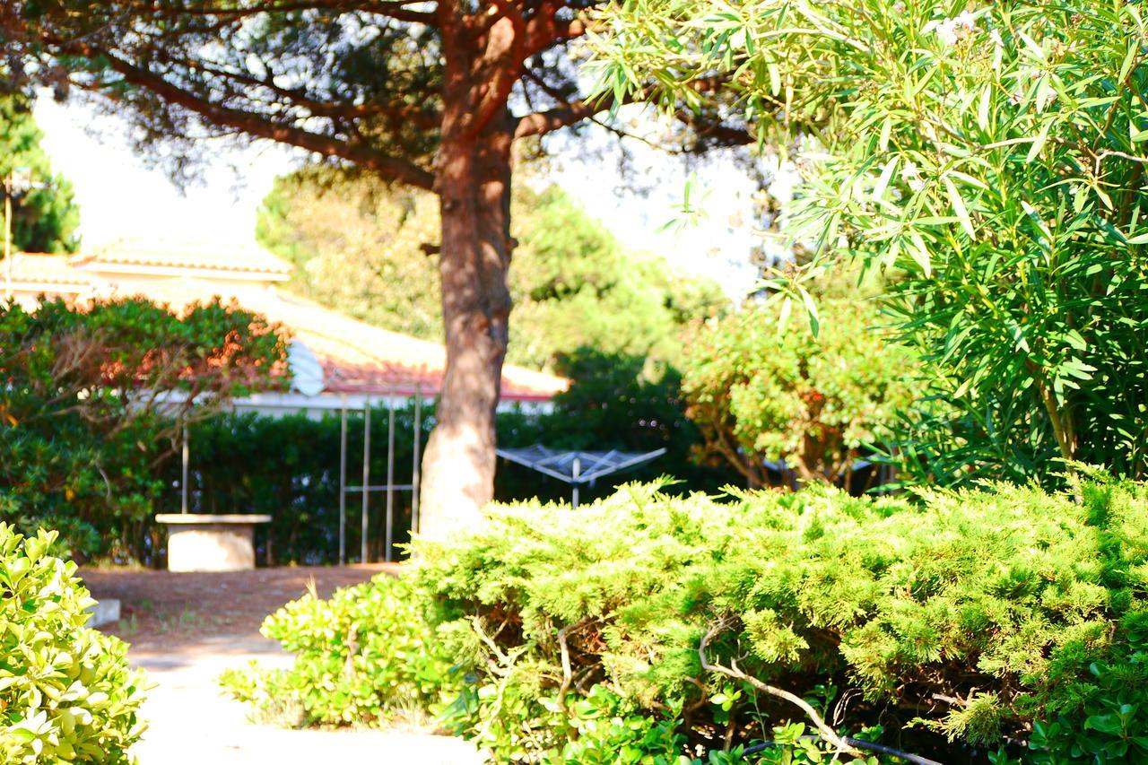 Appartamento In Villa Valentini, Fronte Mare, Giardino E Parcheggio Privato, Wifi, Dotato Di Tutti I Confort, Nel Golfo Di Gaeta Minturno Exterior foto